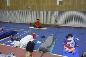 Den s jógou v Ostravě 2015